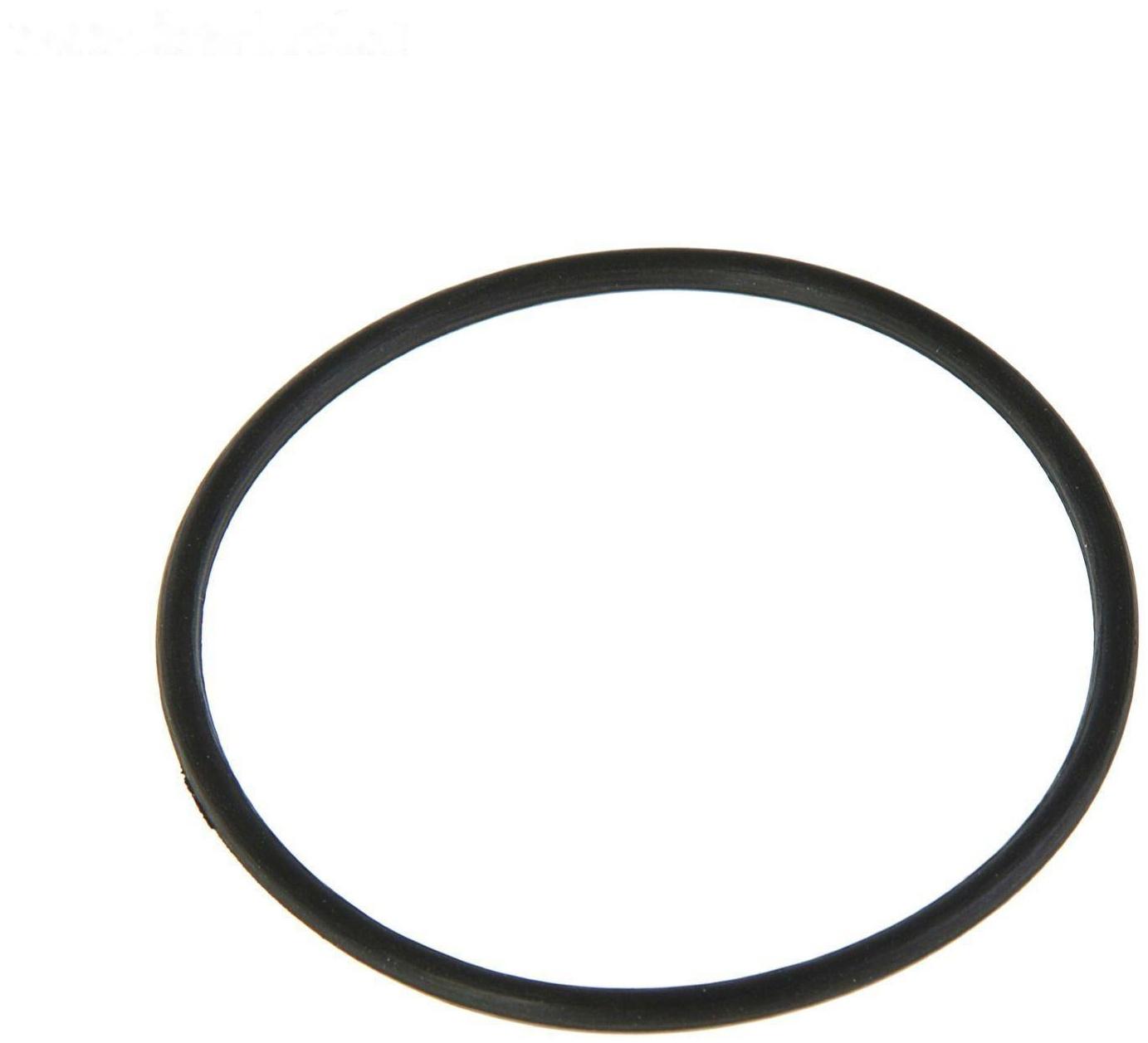 Уплотнительное кольцо для колбы 10SL