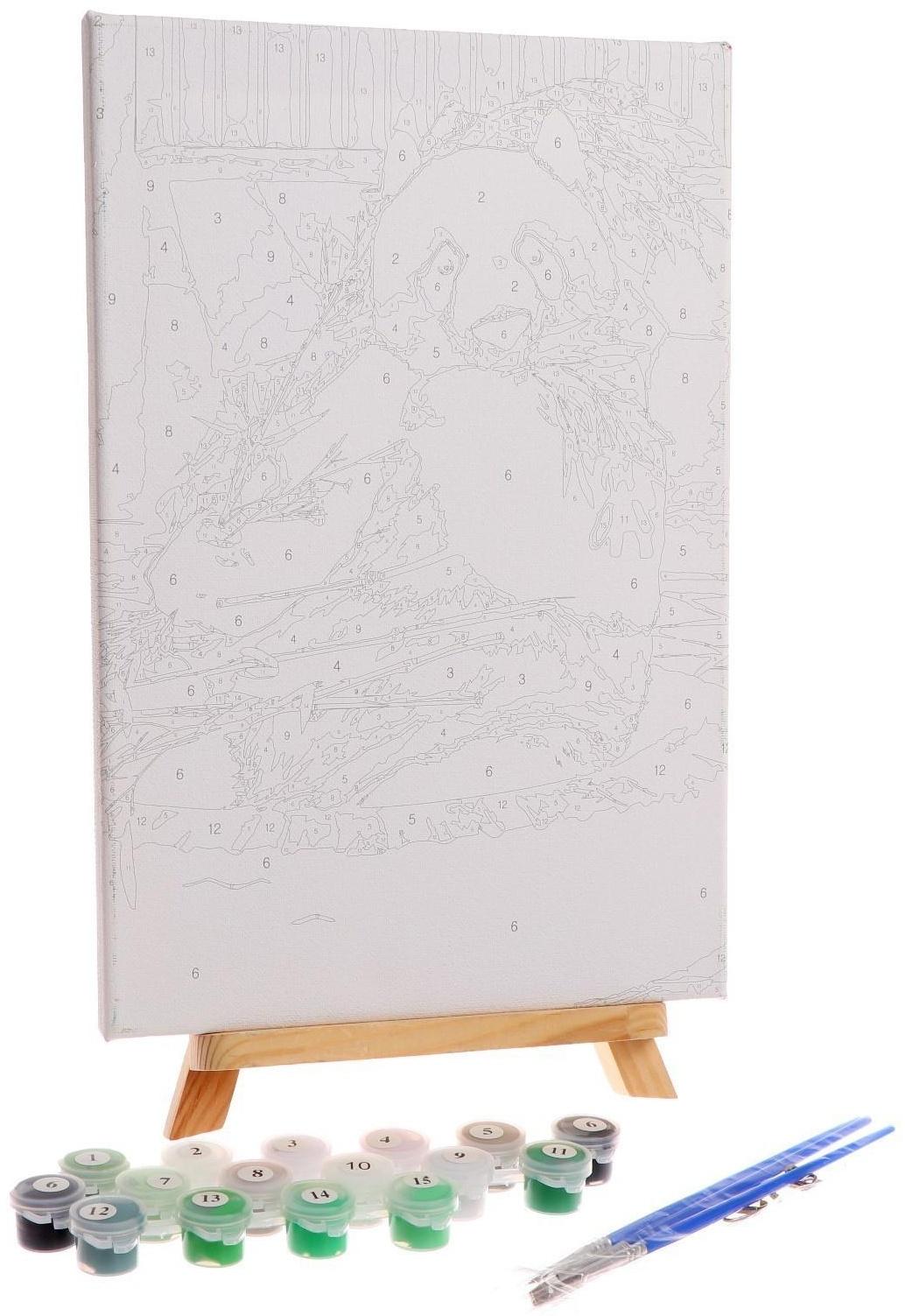 Картина по номерам на холсте с подрамником «Панда», 30х20 см