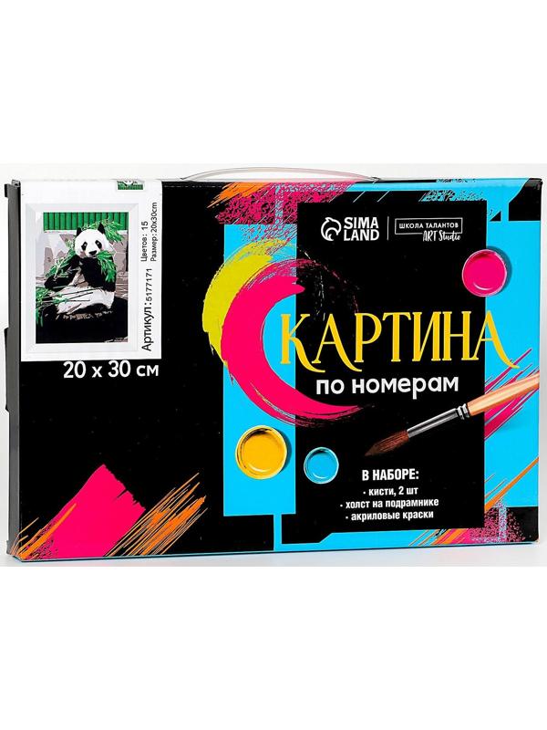 Картина по номерам на холсте с подрамником «Панда», 30х20 см