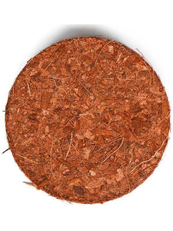 Таблетки кокосовые, d = 4 см, без оболочки, набор 10 шт., Greengo