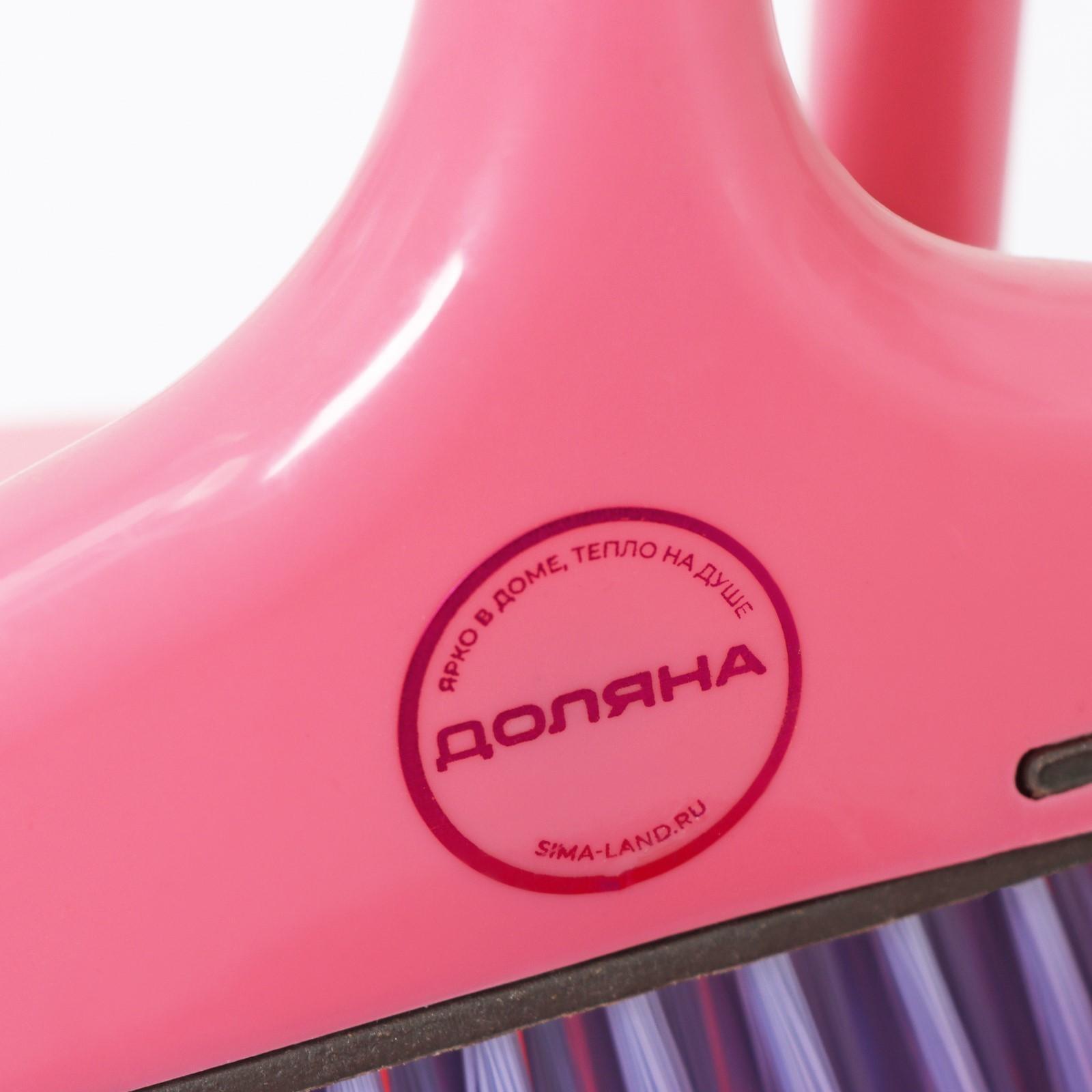 Щётка с совком Доляна: щётка 23×78, совок 25×26×71, ручки металл, цвет МИКС