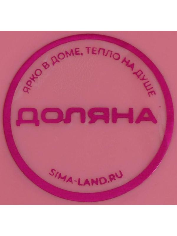 Щётка с совком Доляна: щётка 23×78, совок 25×26×71, ручки металл, цвет МИКС