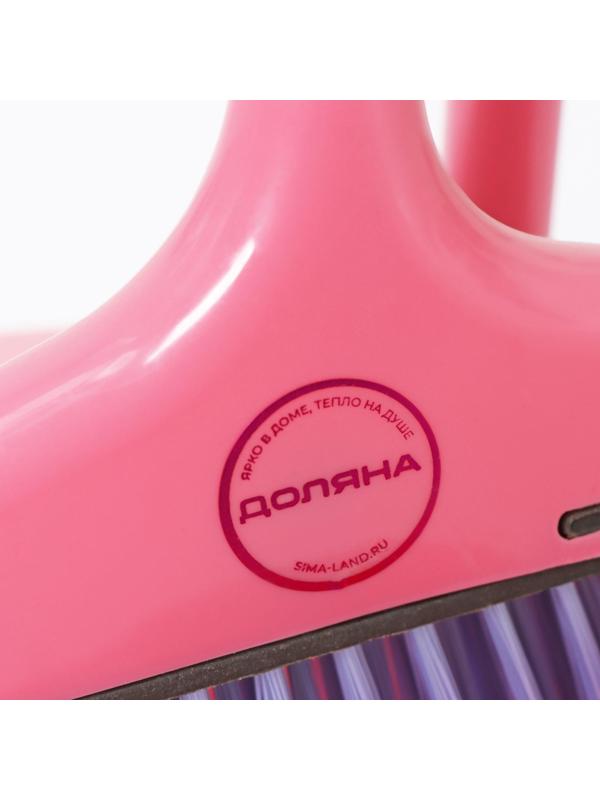 Щётка с совком Доляна: щётка 23×78, совок 25×26×71, ручки металл, цвет МИКС