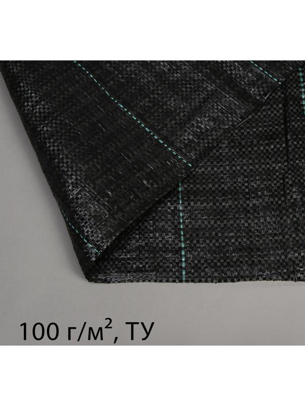 Агроткань застилочная, с разметкой, 10 × 1.6 м, плотность 100 г/м², полипропилен, Greengo, Эконом 50%