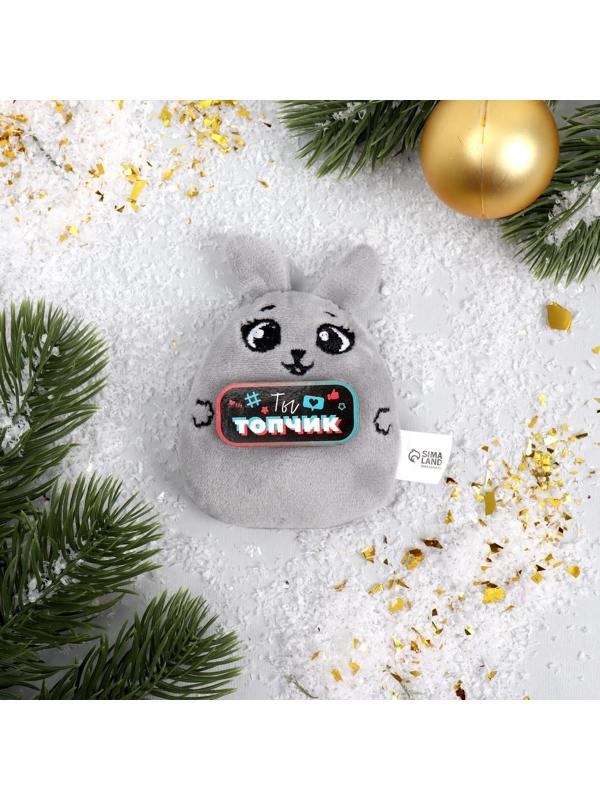 Мягкий магнит «Ты топчик»