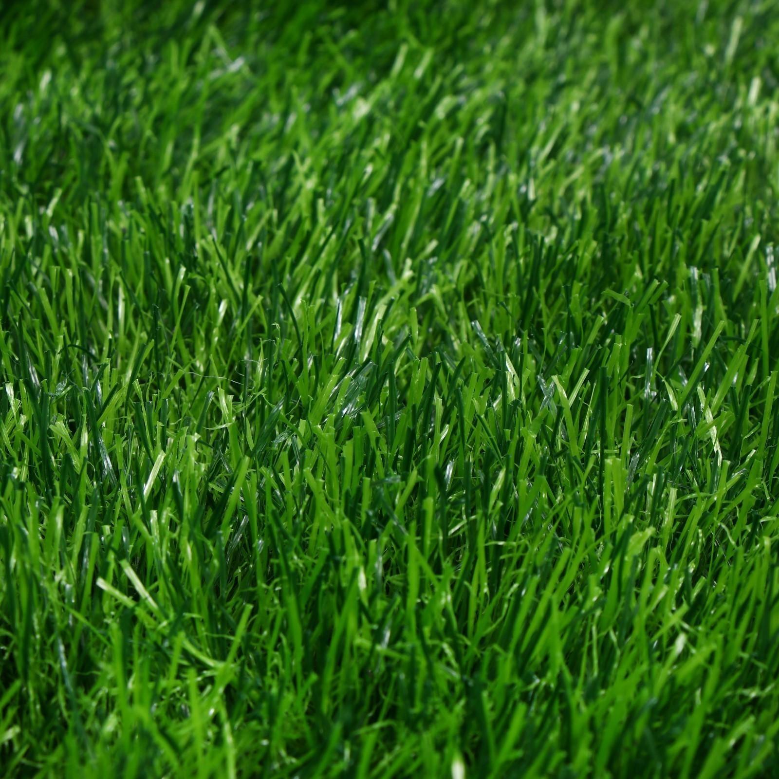 Газон искусственный, для спорта, ворс 50 мм, 1 × 2 м, зелёный