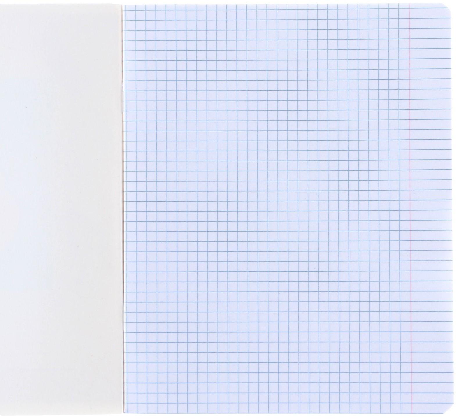 Тетрадь 24 листа, клетка, 5 видов МИКС, Гравити Фолз / Микс 10 шт.