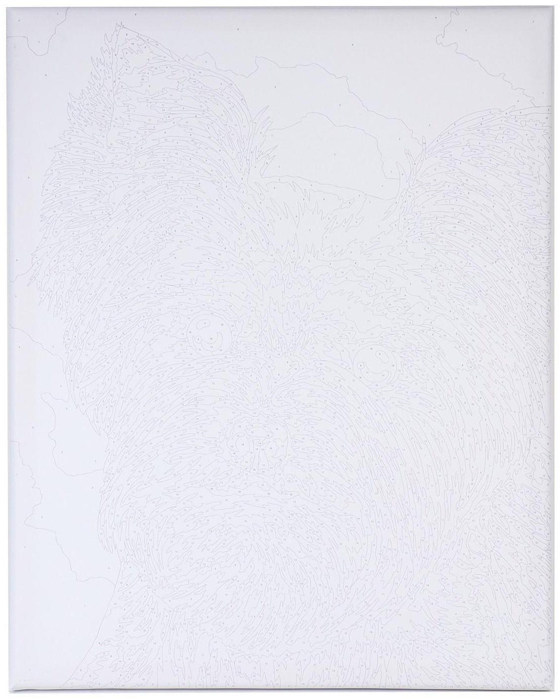 Картина по номерам на холсте с подрамником «Малыш йорк» 40х50 см