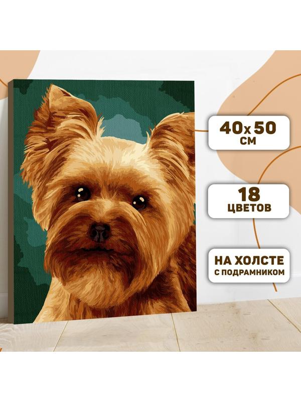 Картина по номерам на холсте с подрамником «Малыш йорк» 40х50 см