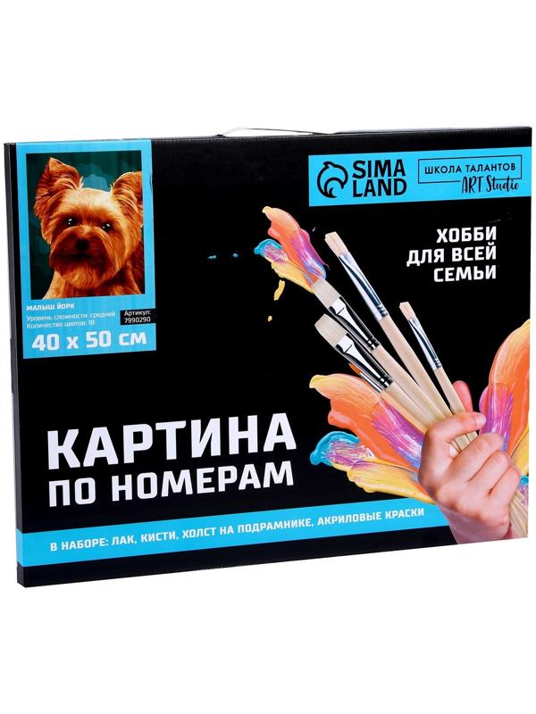 Картина по номерам на холсте с подрамником «Малыш йорк» 40х50 см