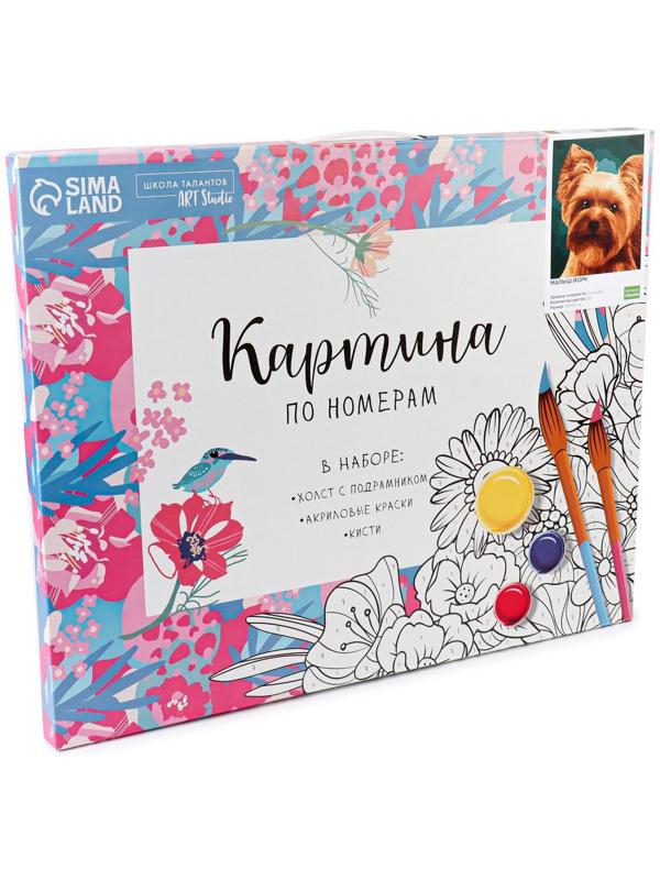 Картина по номерам на холсте с подрамником «Малыш йорк» 40х50 см