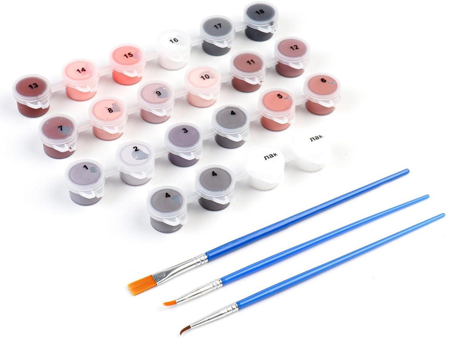 Картина по номерам на холсте с подрамником «Страстная пара» 40х50 см