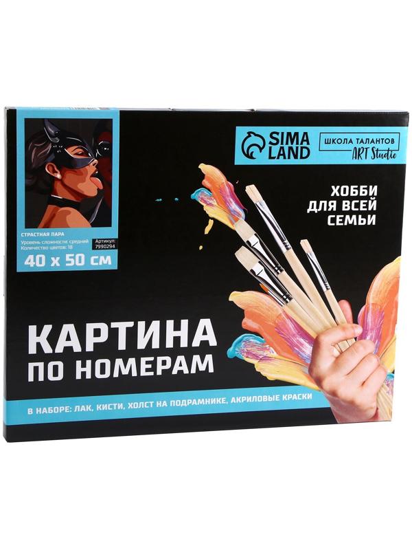 Картина по номерам на холсте с подрамником «Страстная пара» 40х50 см