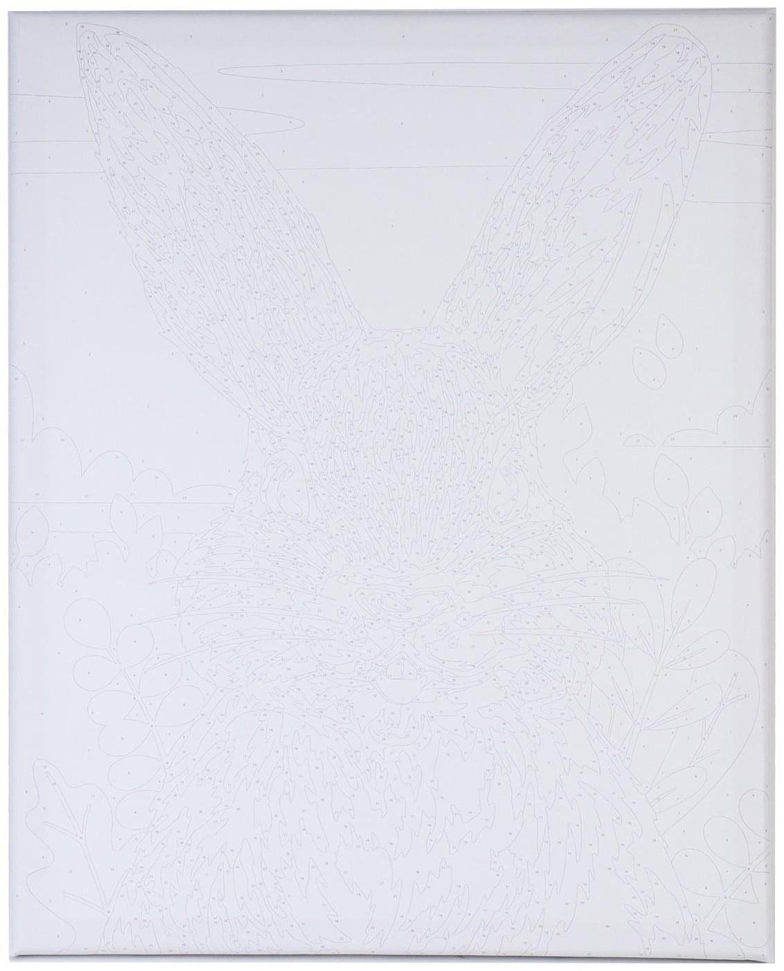 Картина по номерам на холсте с подрамником «Кролик в поле» 40х50 см