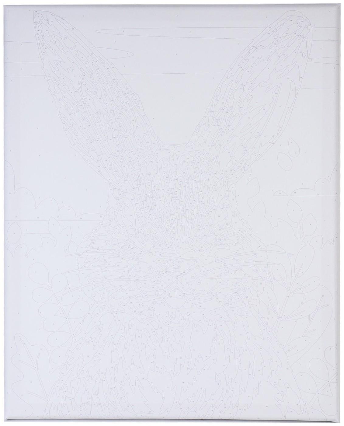 Картина по номерам на холсте с подрамником «Кролик в поле» 40х50 см