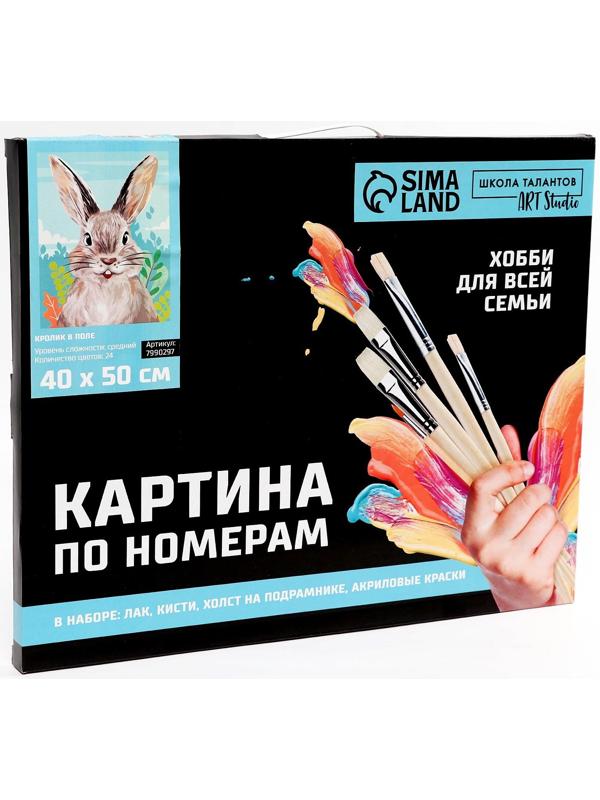 Картина по номерам на холсте с подрамником «Кролик в поле» 40х50 см