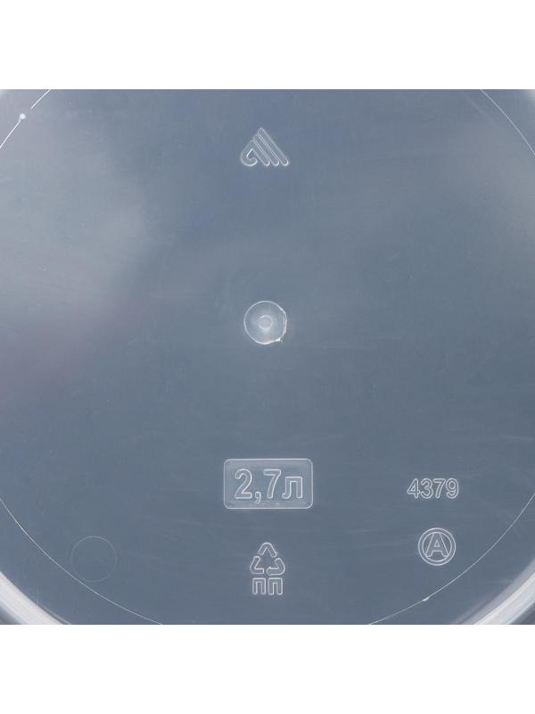 Кашпо для цветов со вставкой «Линель», 2,7 л, d=16 см, h=16 см, прозрачный