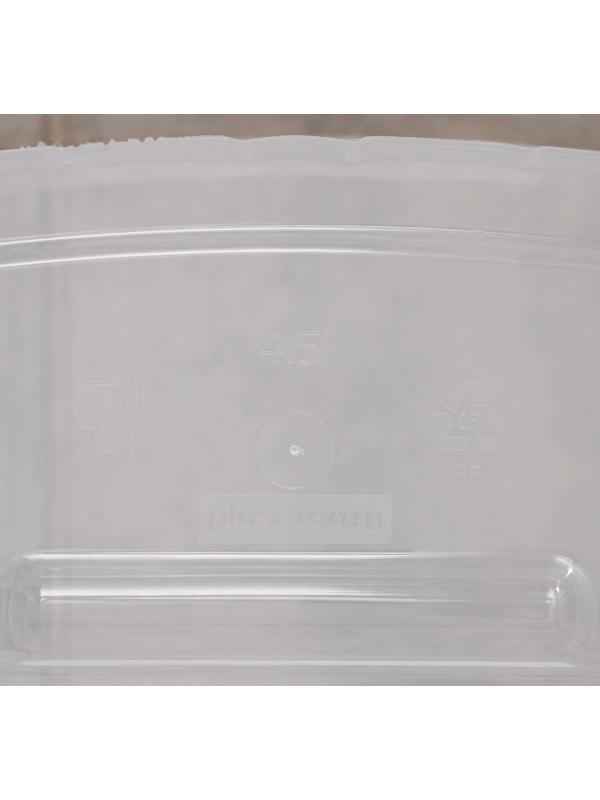 Контейнер для стирального порошка, 4,5 л, 24,4×18×18 см, прозрачный