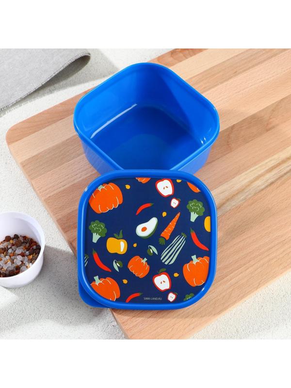 Ланч-бокс«Овощи», квадратный, 700 мл