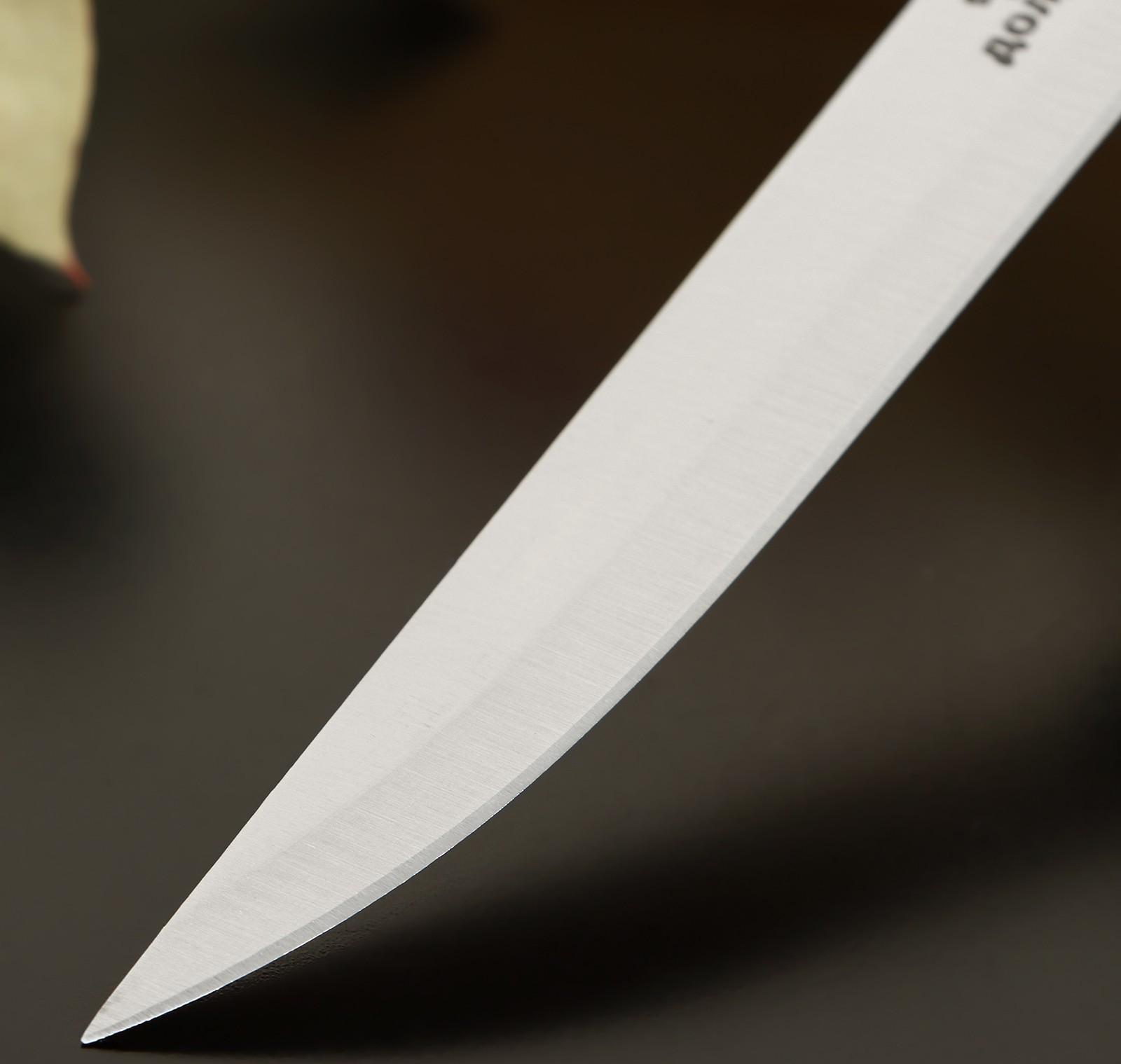 Нож обвалочный Доляна «Кронос», лезвие 14 см