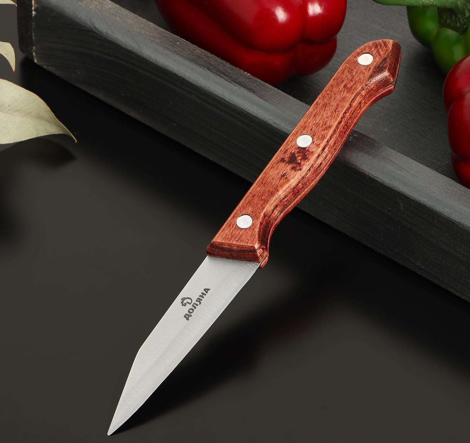 Нож овощной Доляна Ecology, лезвие 8,5 см