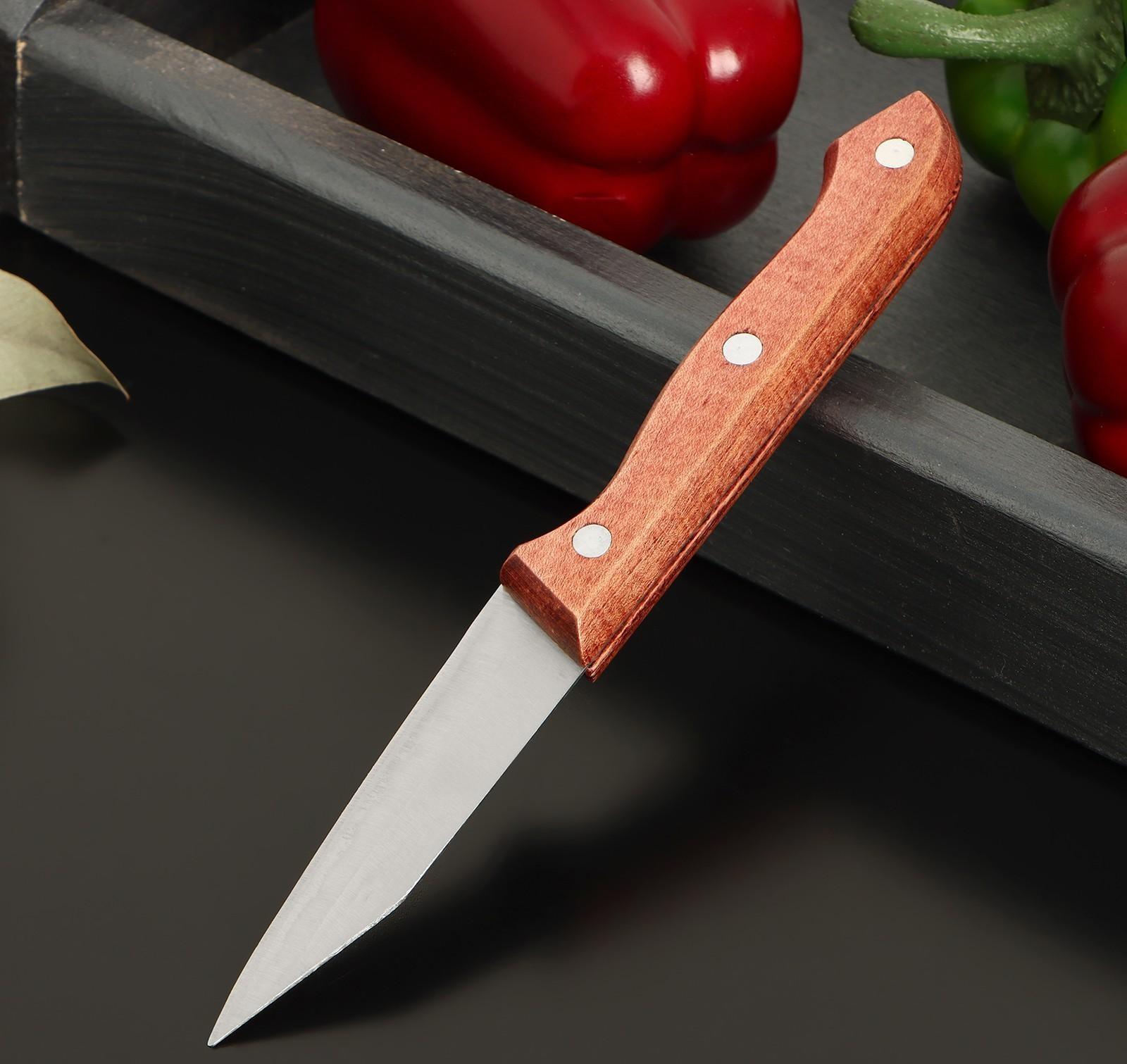 Нож овощной Доляна Ecology, лезвие 8,5 см