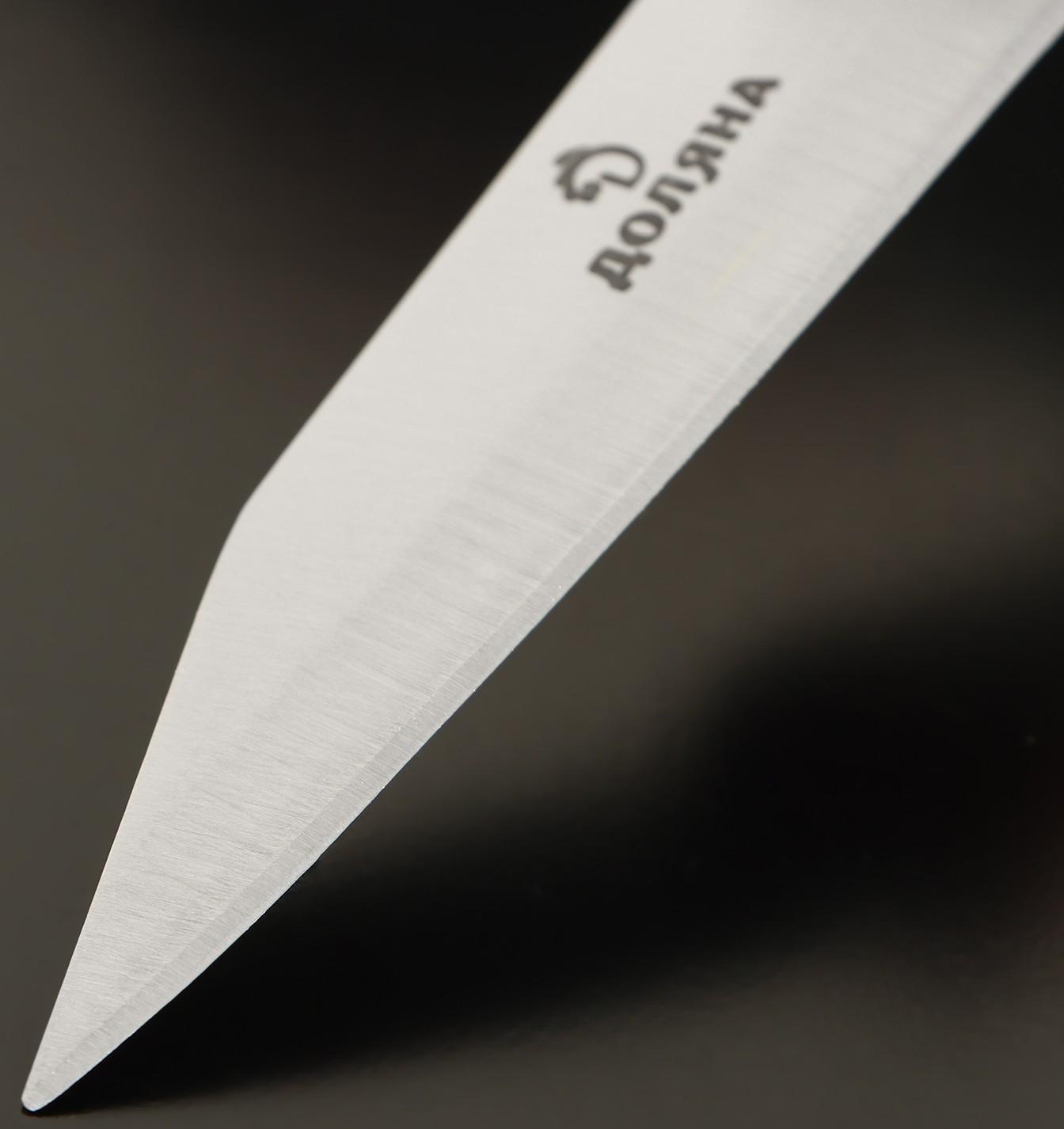 Нож овощной Доляна Ecology, лезвие 8,5 см