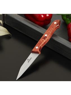 Нож овощной Доляна Ecology, лезвие 8,5 см