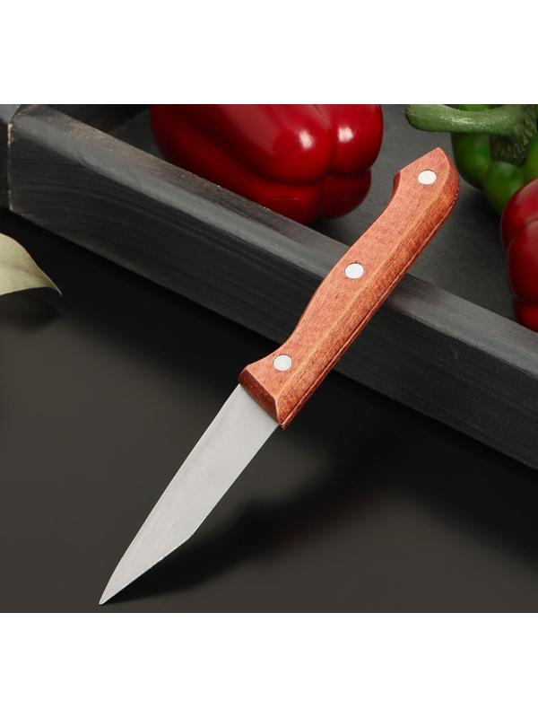 Нож овощной Доляна Ecology, лезвие 8,5 см