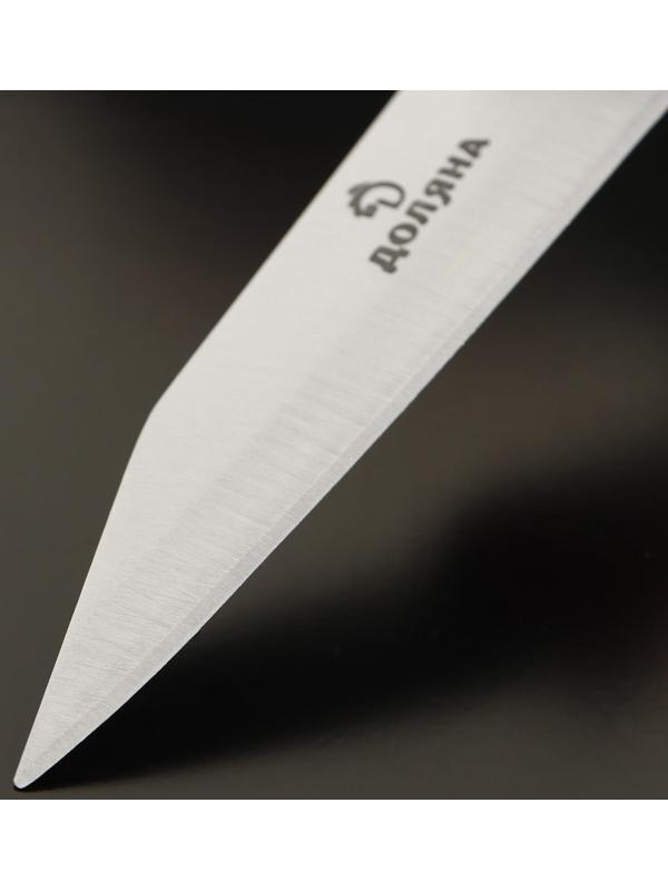 Нож овощной Доляна Ecology, лезвие 8,5 см