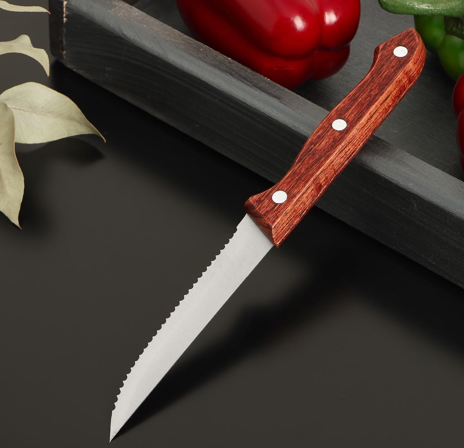 Нож для стейка Доляна Ecology, лезвие 11 см