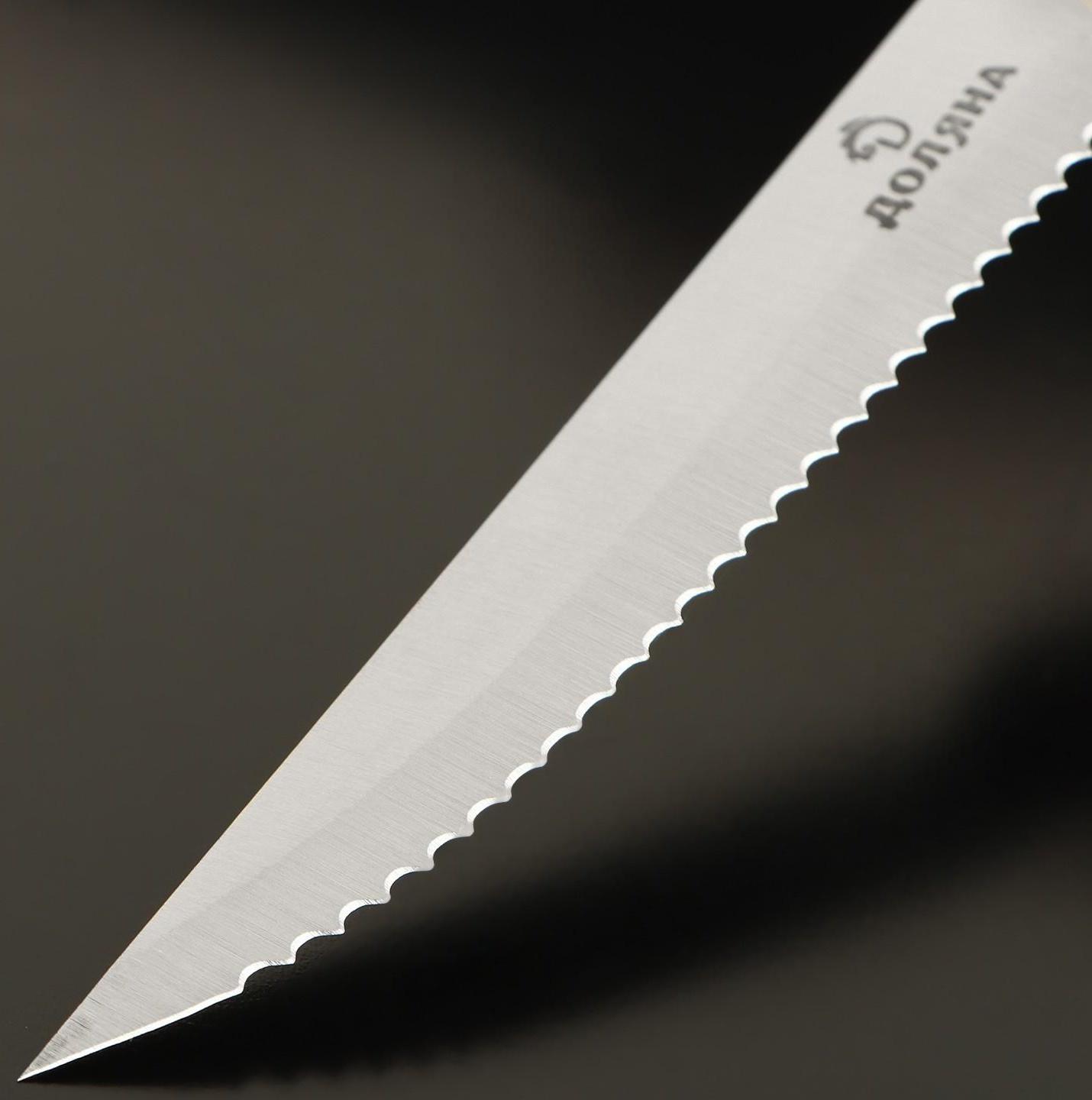 Нож для стейка Доляна Ecology, лезвие 11 см