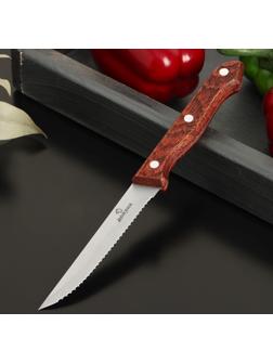 Нож для стейка Доляна Ecology, лезвие 11 см