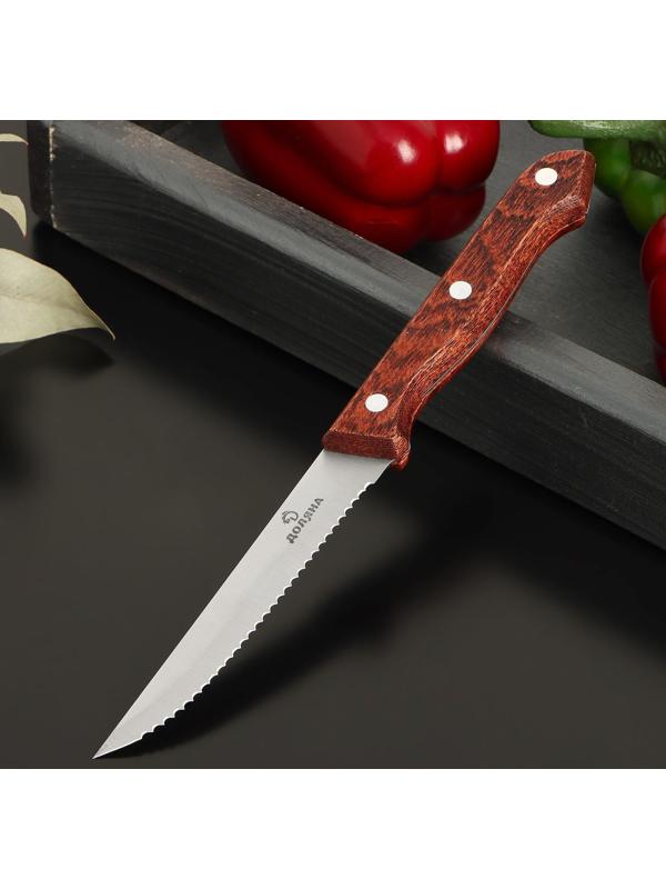 Нож для стейка Доляна Ecology, лезвие 11 см