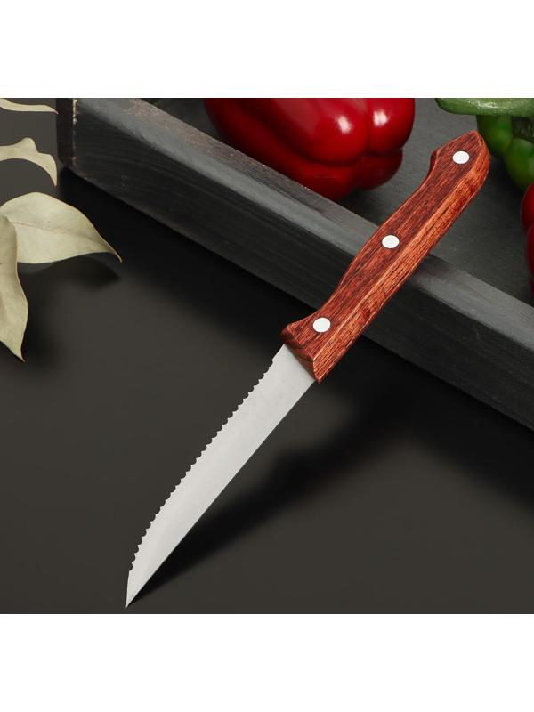 Нож для стейка Доляна Ecology, лезвие 11 см