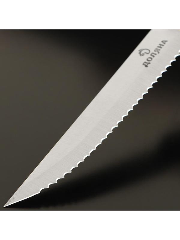 Нож для стейка Доляна Ecology, лезвие 11 см