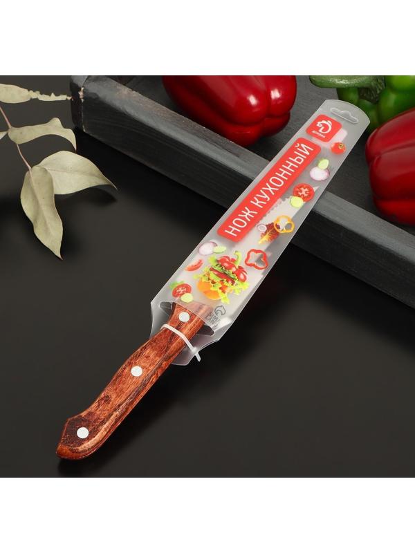 Нож для стейка Доляна Ecology, лезвие 11 см