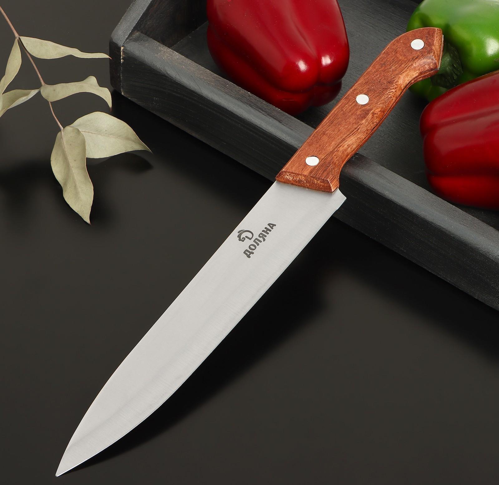 Нож Шеф Доляна Ecology, лезвие 20 см