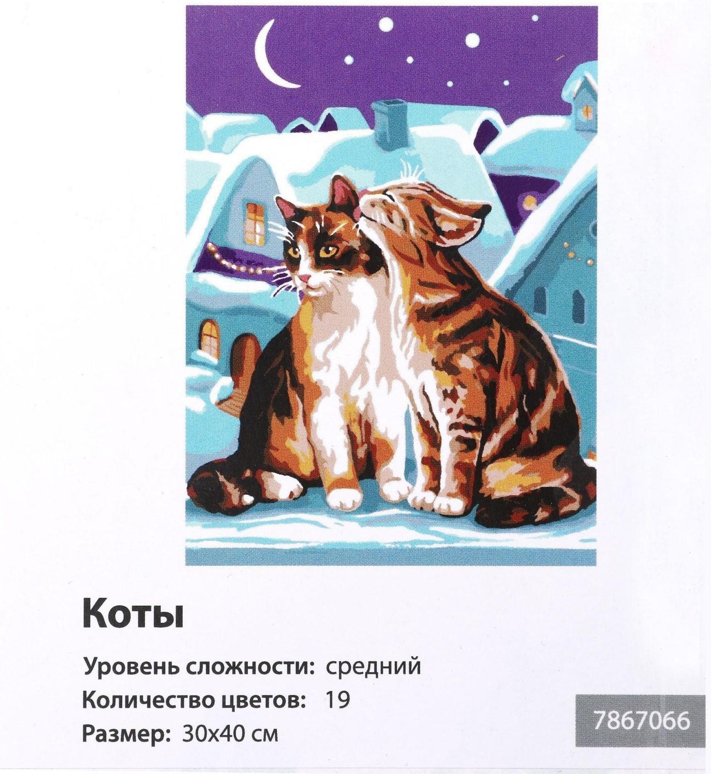 Картина по номерам на холсте с подрамником «Коты» 30х40 см