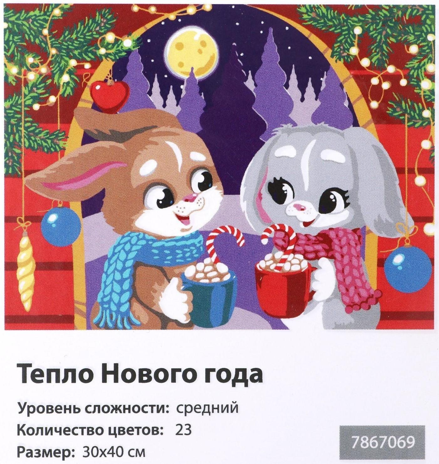 Картина по номерам на холсте с подрамником «Тепло Нового года» 30х40 см