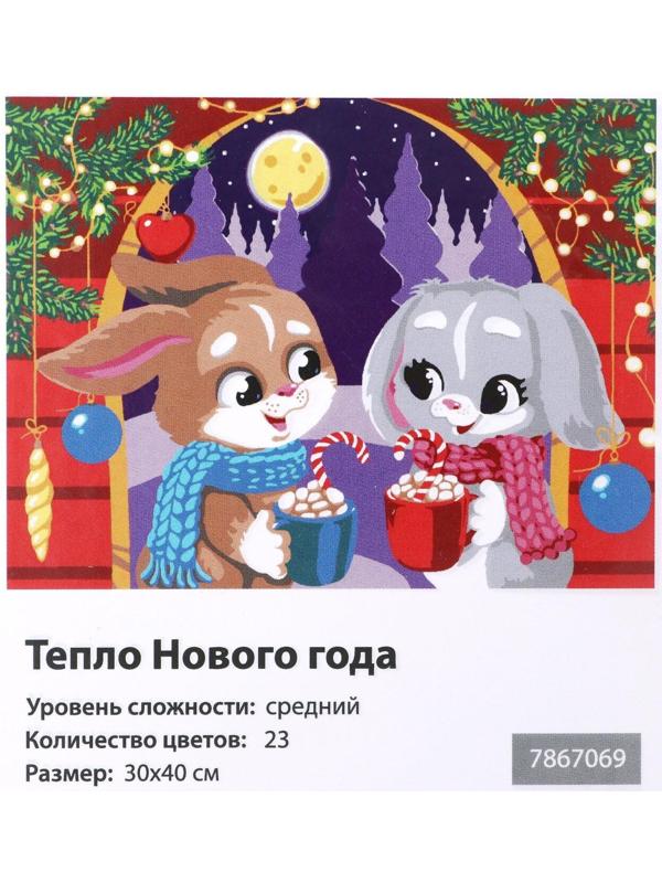 Картина по номерам на холсте с подрамником «Тепло Нового года» 30х40 см
