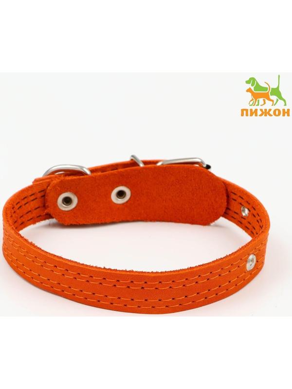 Ошейник кожаный  с язычком прошитый, 2 х 40 см, ОШ 25-35 см , рыжий
