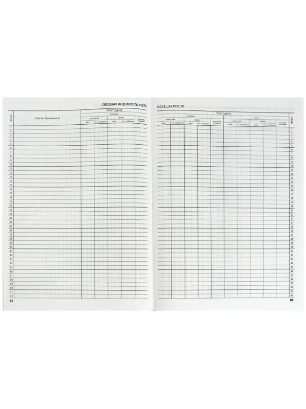 Классный журнал для 5-11 классов А4, 96 листов, твёрдая обложка, белый блок