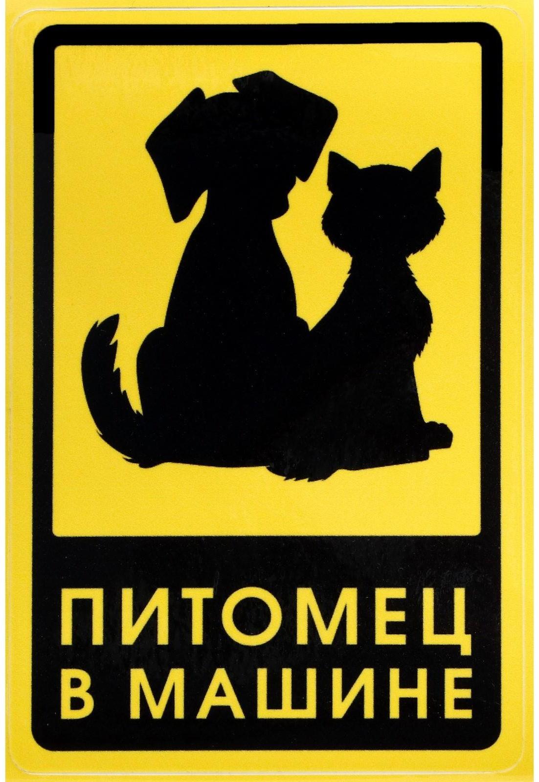 Наклейка на автомобиль 