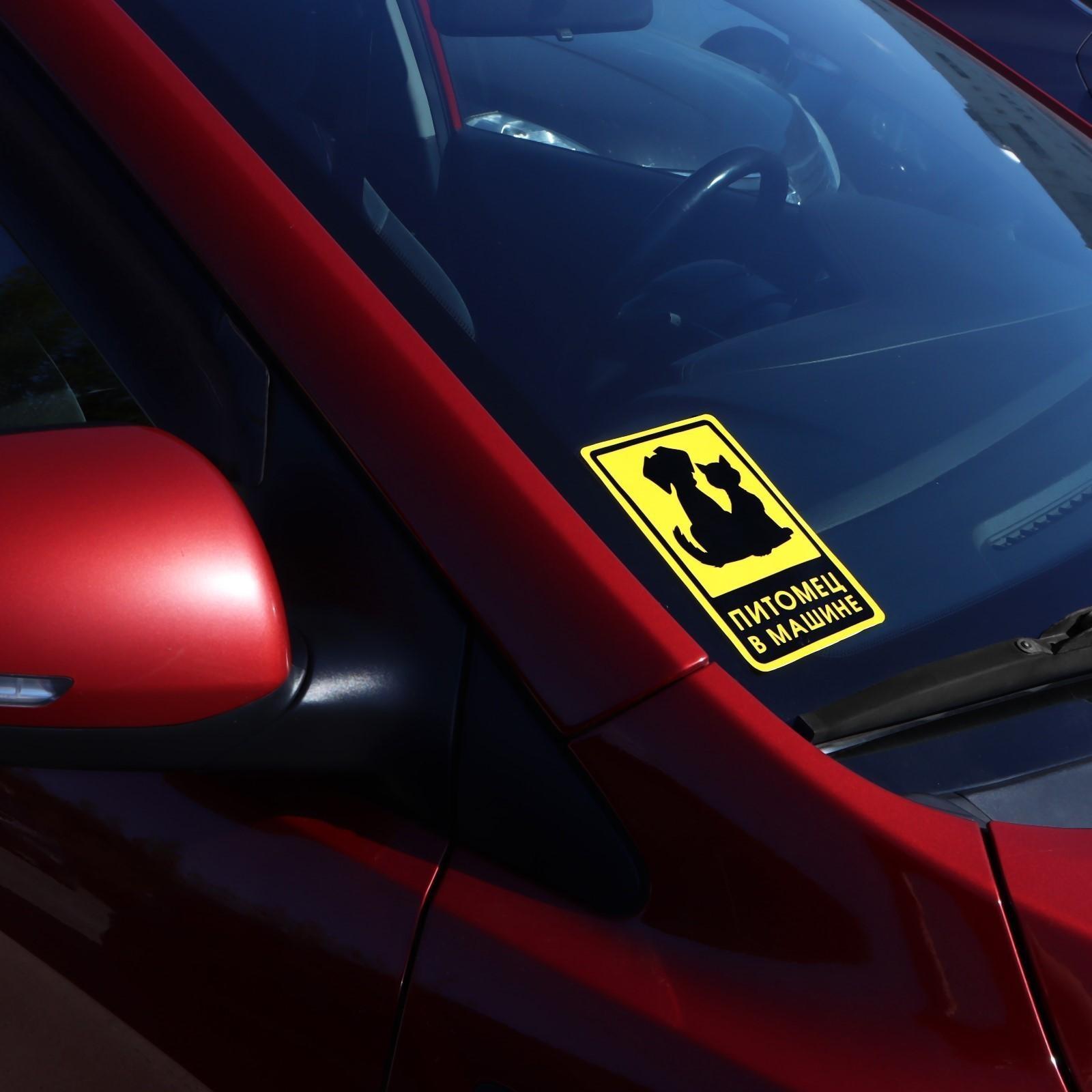 Наклейка на автомобиль 