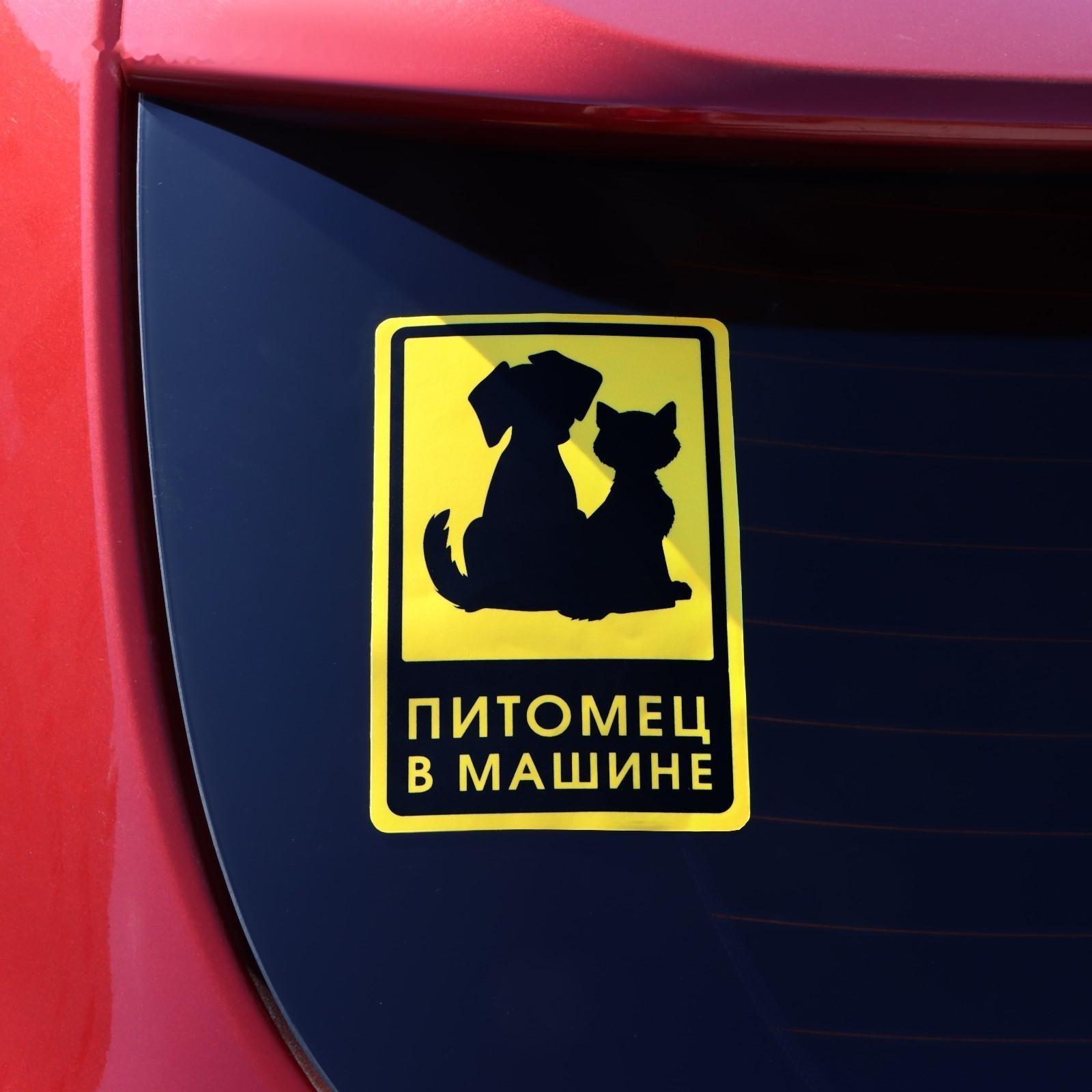 Наклейка на автомобиль 