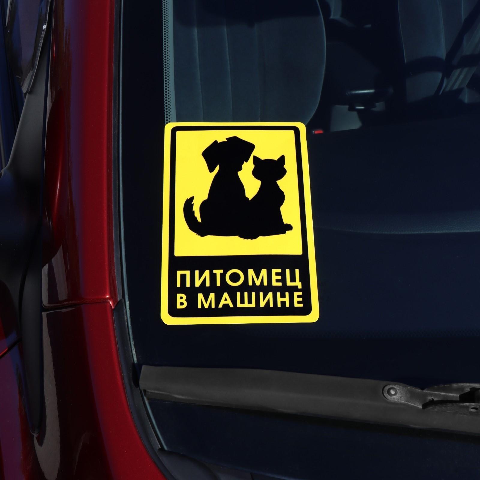 Наклейка на автомобиль 