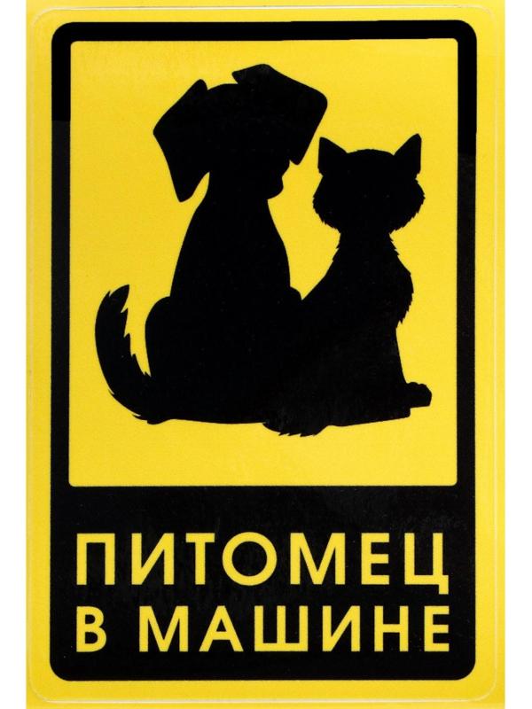 Наклейка на автомобиль 