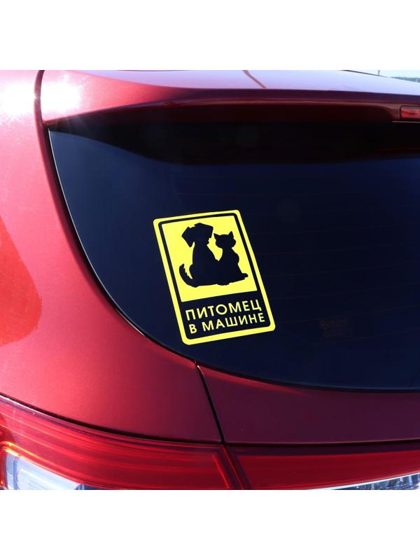 Наклейка на автомобиль 