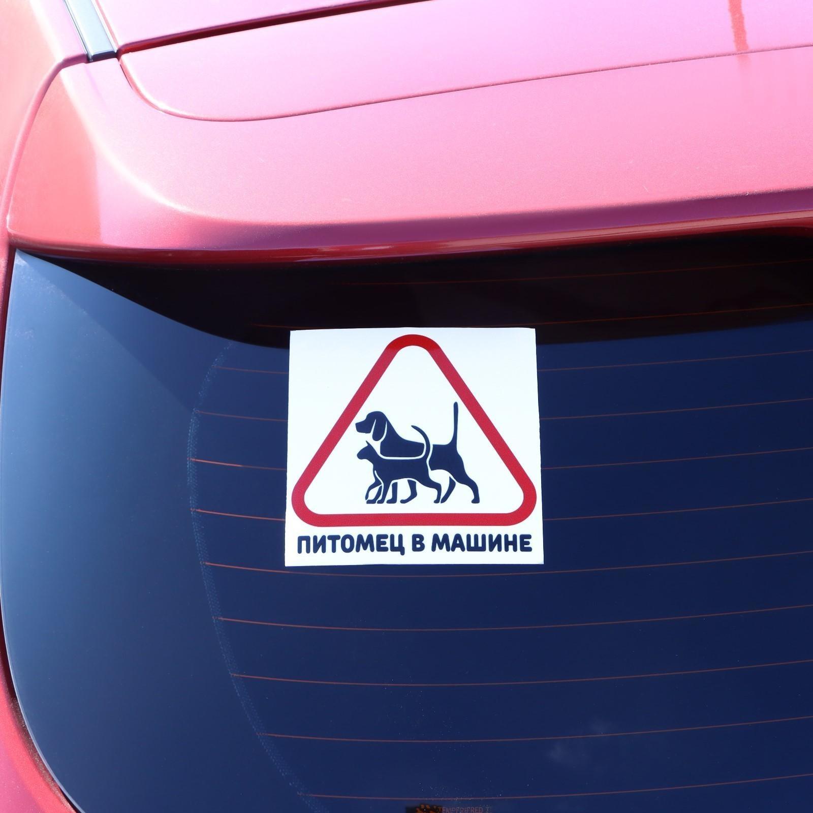 Наклейка на автомобиль 